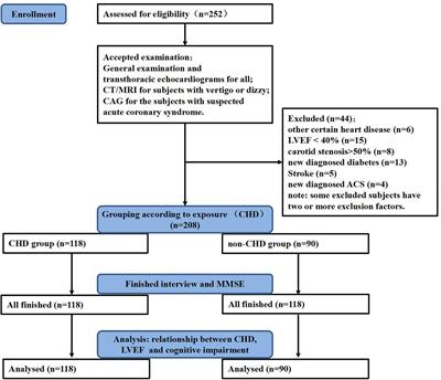The Relationship Between Pre-existing Coronary Heart Disease and Cognitive Impairment Is Partly Explained by Reduced Left Ventricular Ejection Fraction in the Subjects Without Clinical Heart Failure: A Cross-Sectional Study